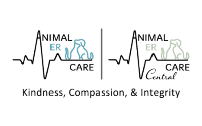 Animal ER Care
