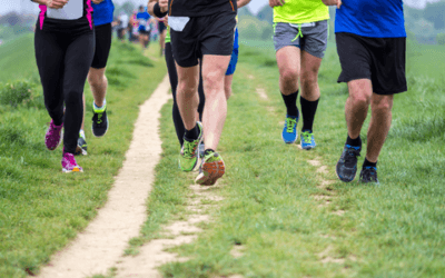 CROSS COUNTRY: THE RACE IS ON